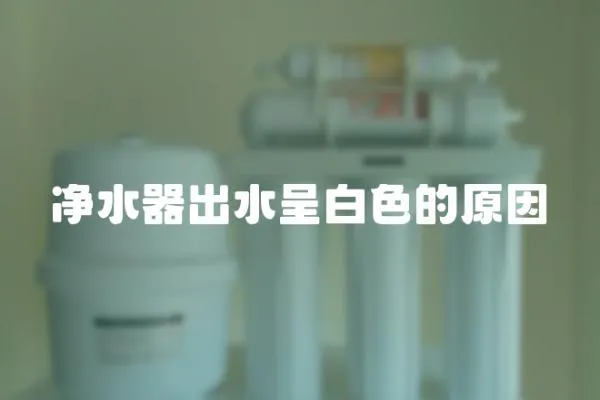 凈水器出水呈白色的原因