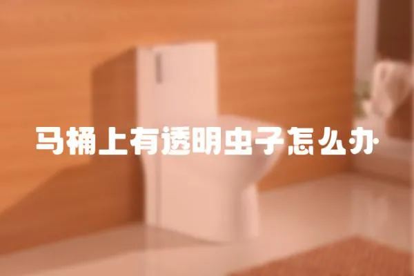 馬桶上有透明蟲子怎么辦
