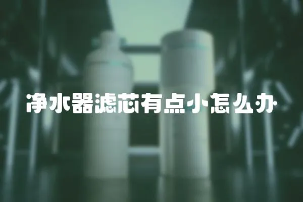 凈水器濾芯有點小怎么辦
