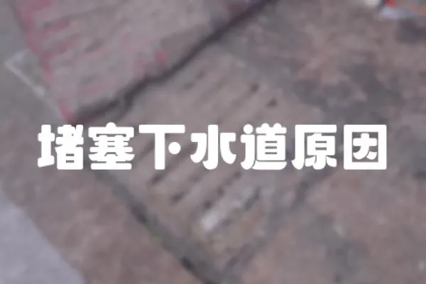 堵塞下水道原因