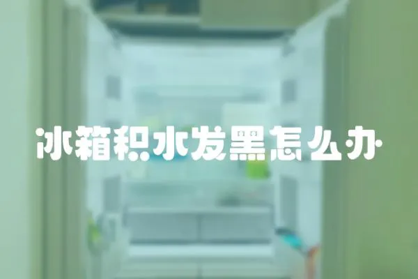 冰箱積水發(fā)黑怎么辦