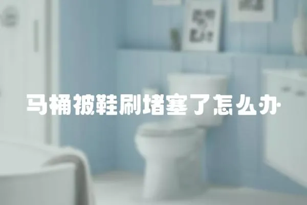 馬桶被鞋刷堵塞了怎么辦
