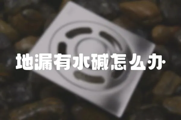地漏有水堿怎么辦