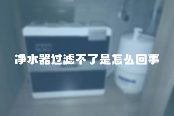 凈水器過濾不了是怎么回事