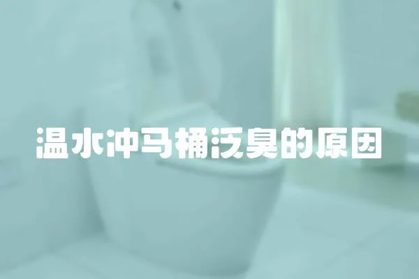 溫水沖馬桶泛臭的原因