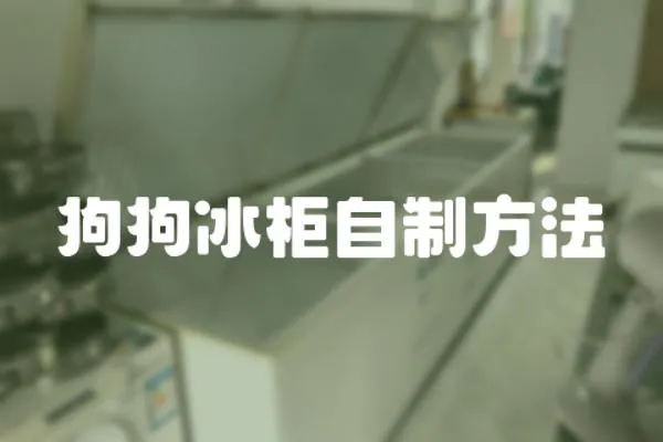 狗狗冰柜自制方法