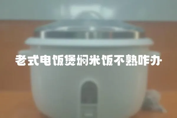 老式電飯煲燜米飯不熟咋辦