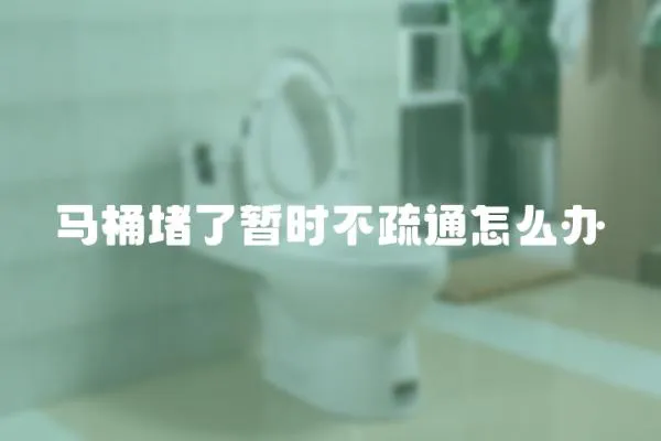 馬桶堵了暫時不疏通怎么辦