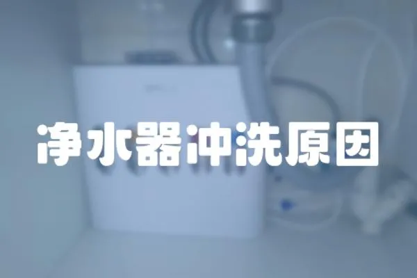 凈水器沖洗原因