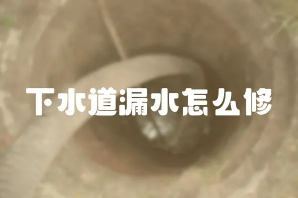 下水道漏水怎么修