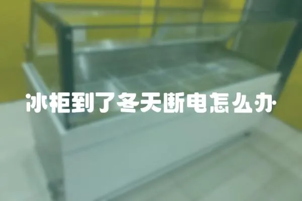 冰柜到了冬天斷電怎么辦
