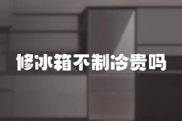 修冰箱不制冷貴嗎