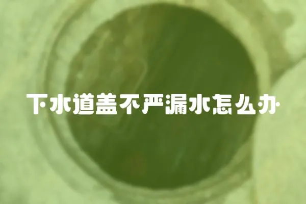 下水道蓋不嚴(yán)漏水怎么辦