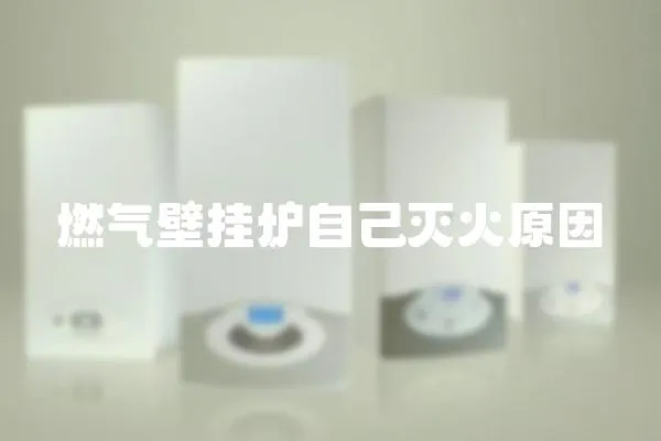 燃氣壁掛爐自己滅火原因