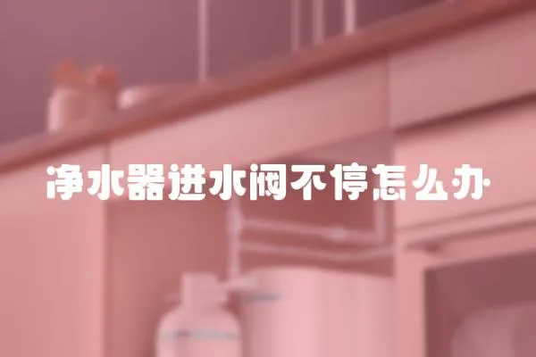凈水器進水閥不停怎么辦