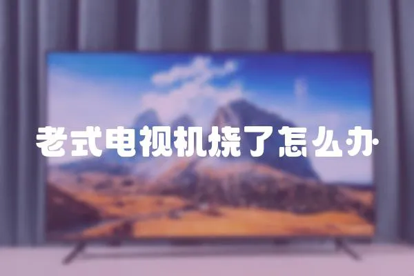 老式電視機(jī)燒了怎么辦