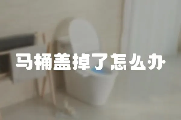 馬桶蓋掉了怎么辦