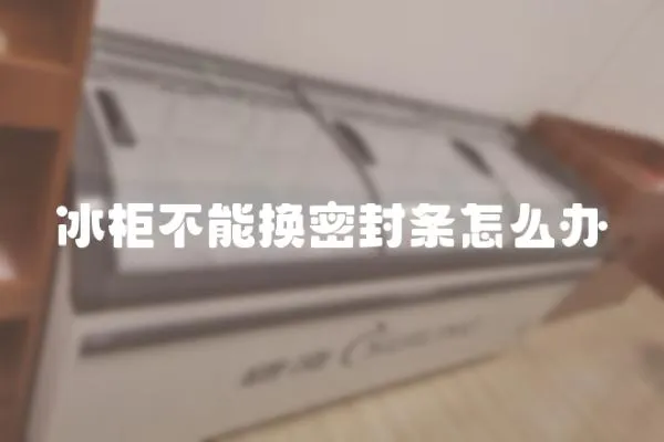 冰柜不能換密封條怎么辦