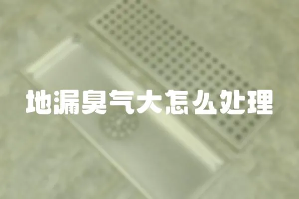 地漏臭氣大怎么處理