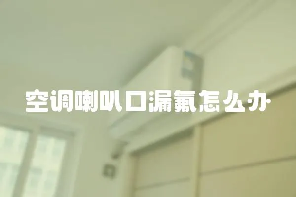 空調喇叭口漏氟怎么辦