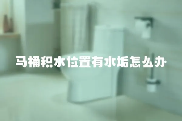 馬桶積水位置有水垢怎么辦