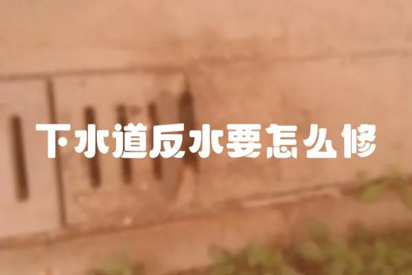 下水道反水要怎么修