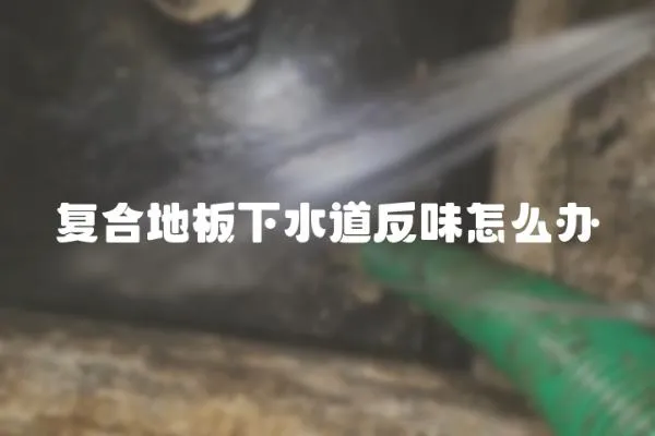 復合地板下水道反味怎么辦