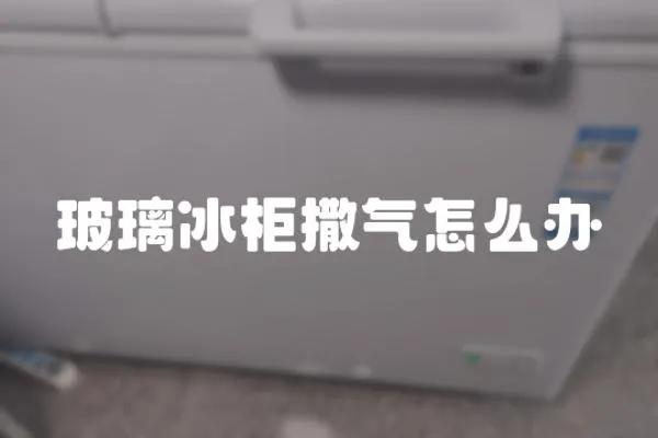 玻璃冰柜撒氣怎么辦