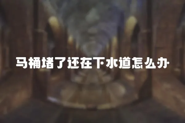 馬桶堵了還在下水道怎么辦