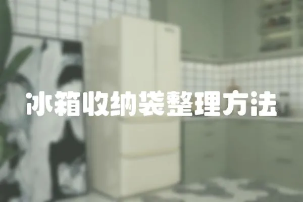 冰箱收納袋整理方法