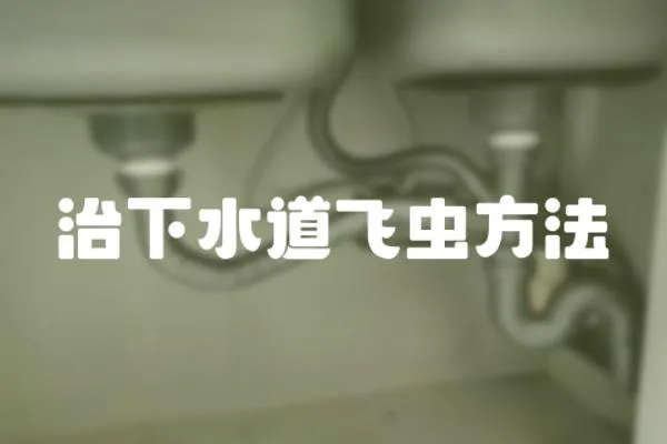 治下水道飛蟲方法