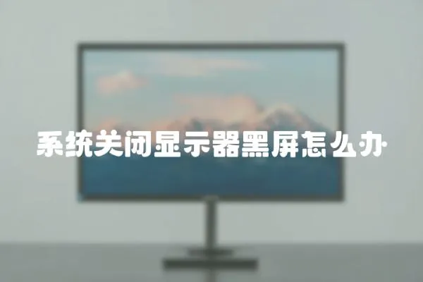 系統關閉顯示器黑屏怎么辦