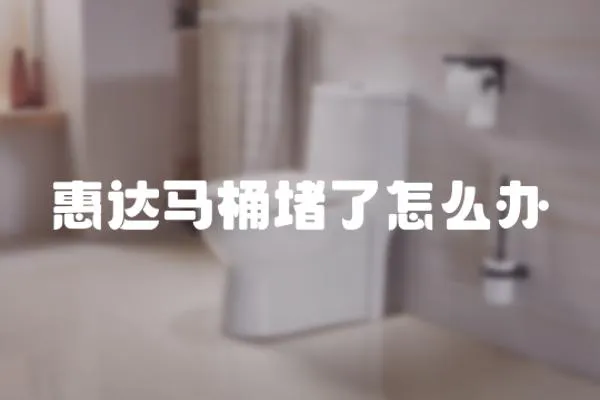 惠達馬桶堵了怎么辦