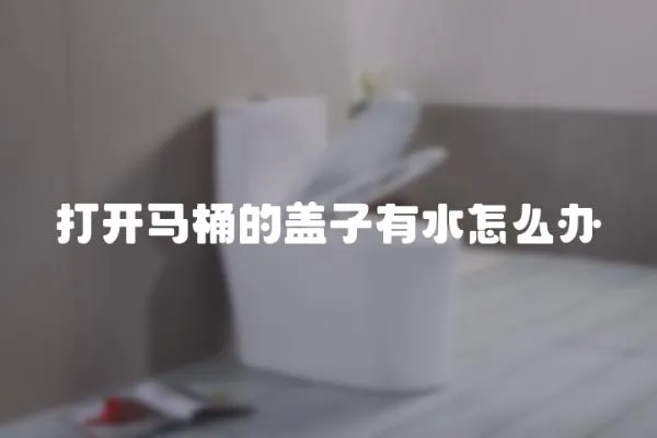 打開馬桶的蓋子有水怎么辦