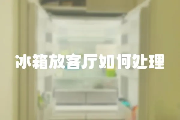 冰箱放客廳如何處理