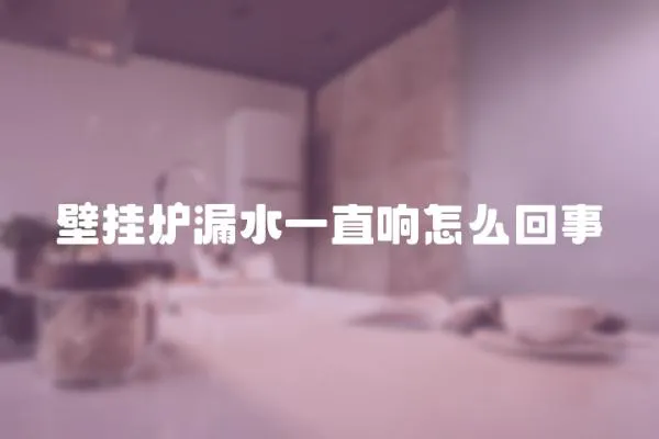 壁掛爐漏水一直響怎么回事