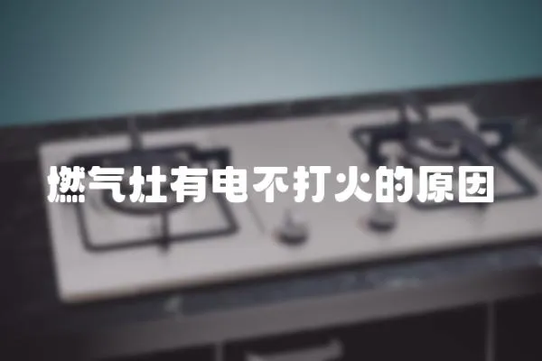 燃?xì)庠钣须姴淮蚧鸬脑?></a></div>
                    <div   id=