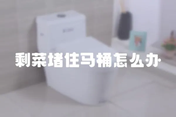 剩菜堵住馬桶怎么辦
