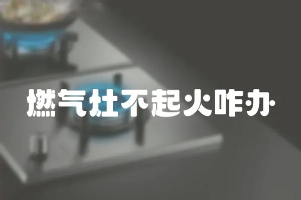 燃氣灶不起火咋辦