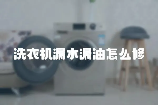 洗衣機(jī)漏水漏油怎么修
