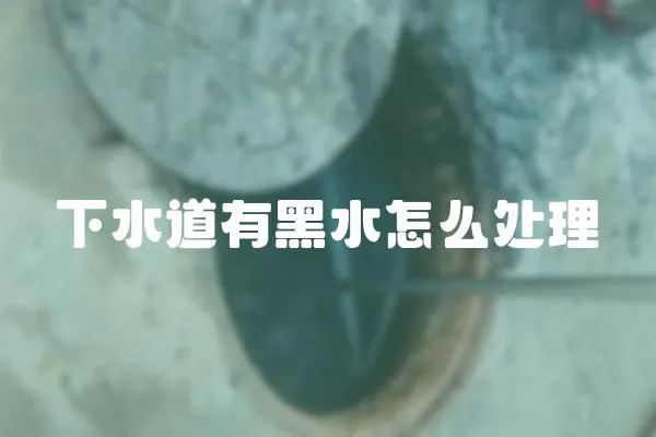 下水道有黑水怎么處理