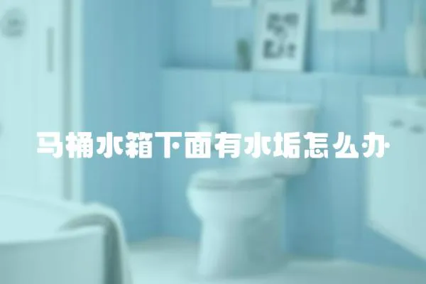 馬桶水箱下面有水垢怎么辦