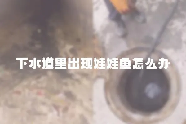 下水道里出現娃娃魚怎么辦