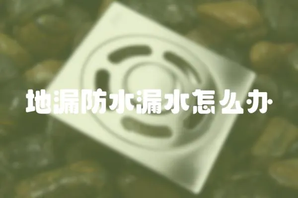 地漏防水漏水怎么辦