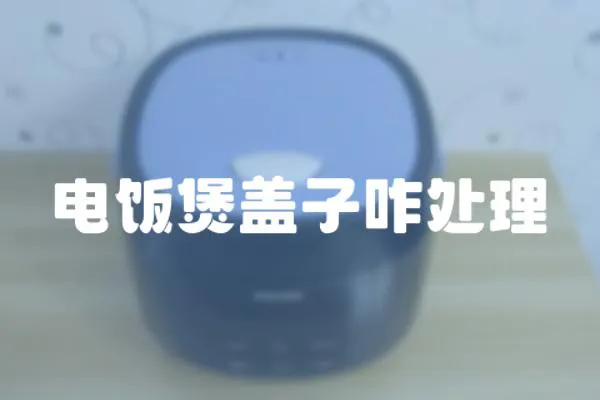 電飯煲蓋子咋處理