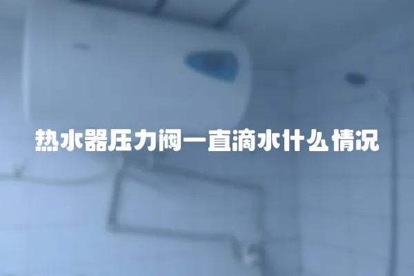 熱水器壓力閥一直滴水什么情況