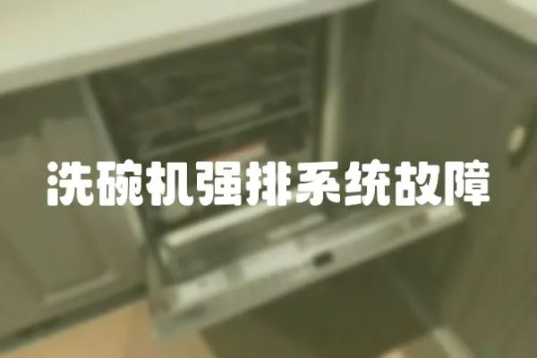 洗碗機(jī)強(qiáng)排系統(tǒng)故障
