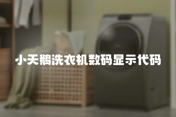 小天鵝洗衣機數碼顯示代碼