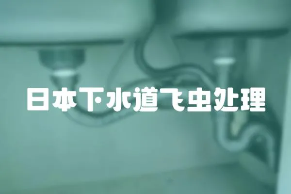 日本下水道飛蟲處理