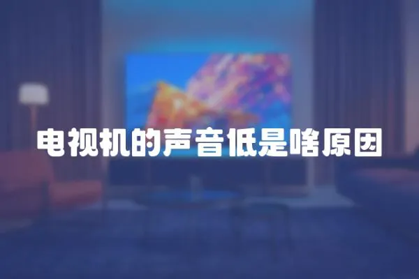 電視機的聲音低是啥原因